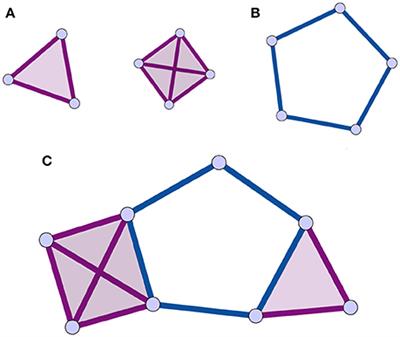 Insights into Brain Architectures from the Homological Scaffolds of Functional Connectivity Networks
